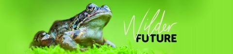 Campaign for a #WilderFuture with us