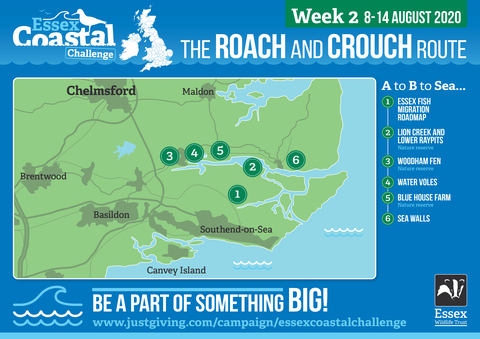 Essex Coastal Challenge Map Week 2