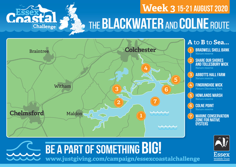Essex Coastal Challenge Map Week 3