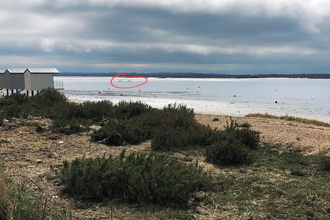The first sighting of the Blackwater beast (circled in red) seen by the Osea beach huts. 