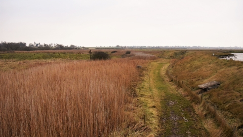 Howlands Marsh in winter