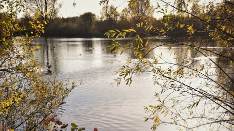 Chigborough Lakes Autumn