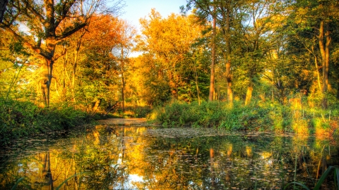 Aubrey Buxton Autumn