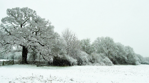 Roding Valley in the snow 