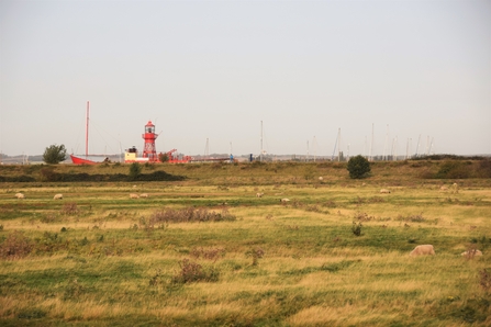 Tollesbury Wick with lightship