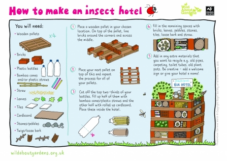 How to make a insect hotel
