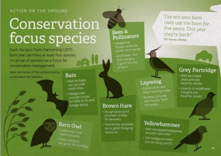 Conservation Focus Species