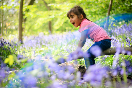 Child in bluebell wood - Photo: Tom Marshall / Wildnet