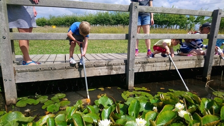 pond dipping