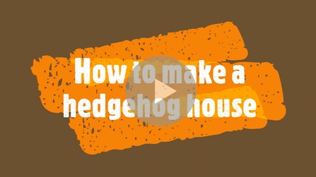 How to make a hedgehog house video