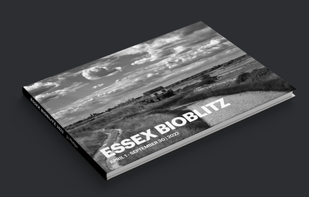 Jo's Essex BioBlitz photo book