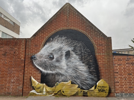 wall mural of a hedgehog