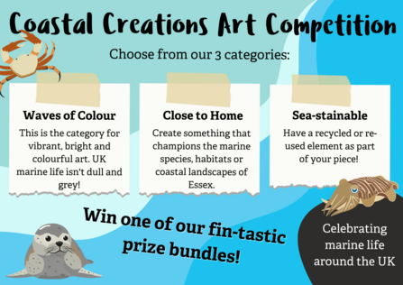 Coastal Creations Art Competition