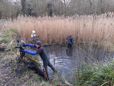 Volunteers inside the pond that is being restored at Roding Valley Meadows, pulling out vegetation by hand