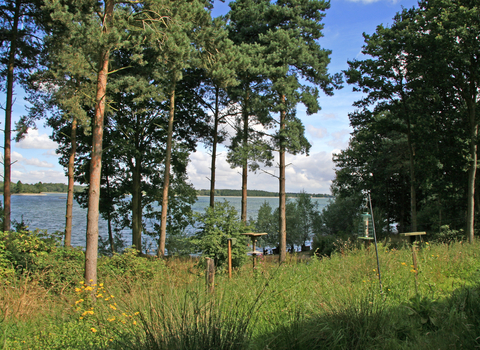 Hanningfield view from centre