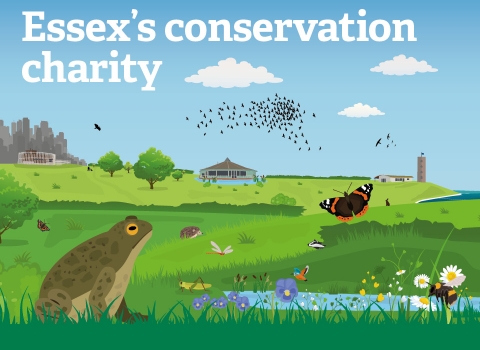 Essex's conservation charity