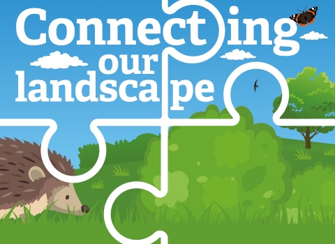 Connecting our landscape