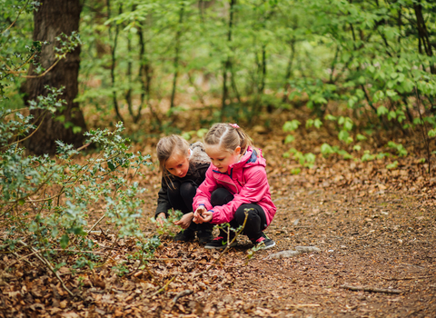 Autumn children - Helena Dolby for Sheffield & Rotherham Wildlife Trust