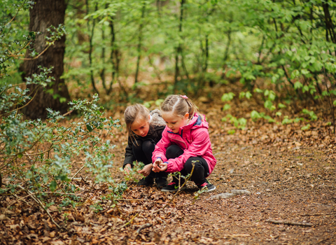 Children in woods