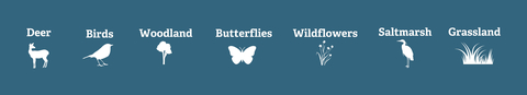 Graphic showing the different types of surveys the Trust undertakes listed side by side with an animal or plant icon underneath