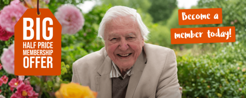 David Attenborough half price membership offer