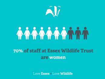 70% of staff at Essex Wildlife Trust are women