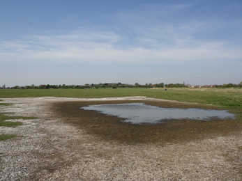 dry land at blue house farm