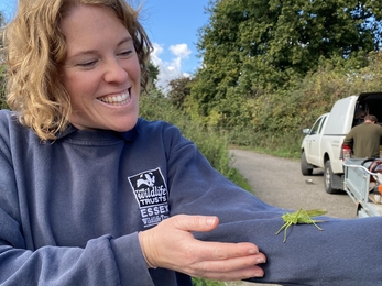 Bush cricket on Rosie