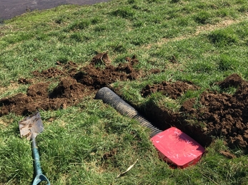 Creating shelduck nest boxes