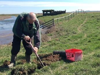 Creating shelduck nest boxes
