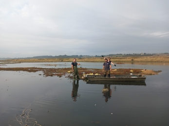 The conservation team on Two Tree Island