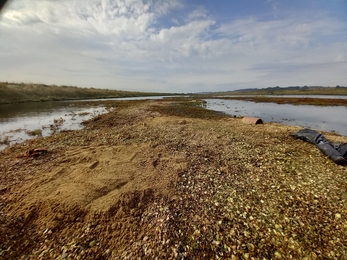 New shingle laid at Two Tree Island