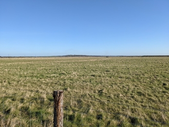 Blue House Farm in dry periods before the wetland project. Dry grassland. 