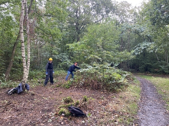 Volunteers clearing scrub in Hadleigh Great Wood