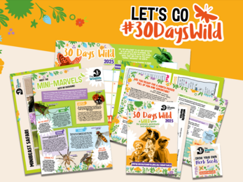 30 Days Wild 2025 children's pack contents