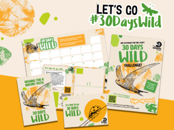 30 Days Wild 2025 adult pack contents