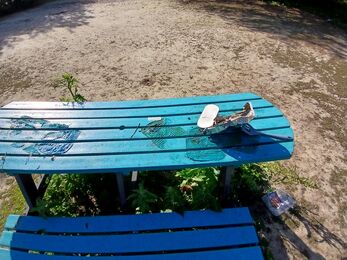 Disposable BBQs dumped on nature reserve