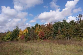 Great Holland Pits in Autumn 