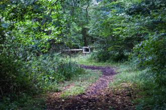 Brookes nature reserve 