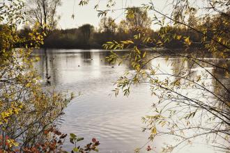 Chigborough Lakes Autumn