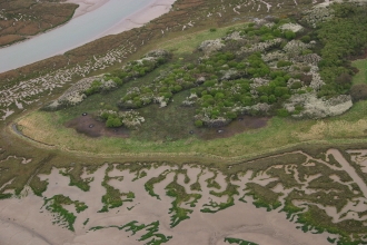 Skippers from the air 