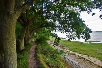 Wrabness Beach 