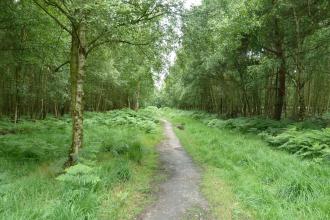 Gernon Bushes nature reserve 