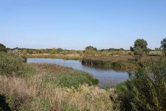 Ingrebourne Valley