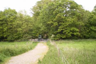 Crowsheath Wood 