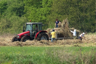 Roding Valley work party