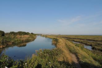 Two Tree Island nature reserve