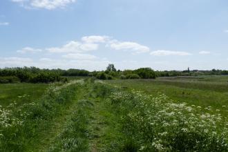 Woodham Fen Seawall