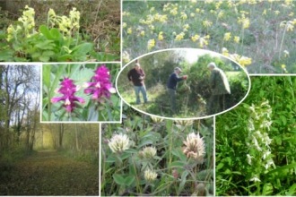 Uttlesford Local Group