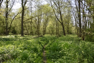 Roman River Valley